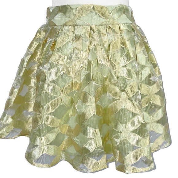 Love Riche Dresses & Skirts - New LoveRiche Embroidered Sheer Overlay Full Mini Skirt Metallic Lime Size Large